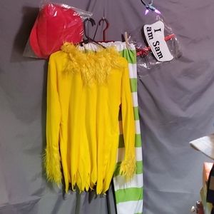 Adult Dr Seuss costume Green eggs and ham XL